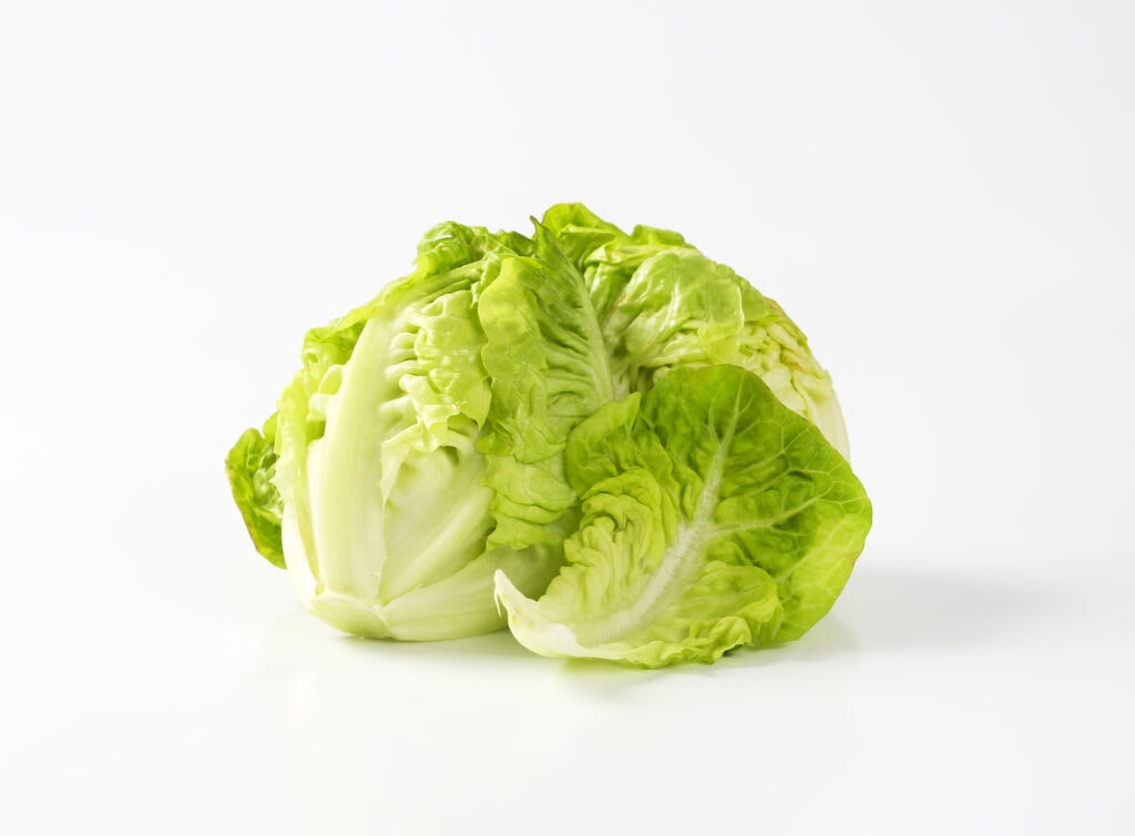 whole head lettuce