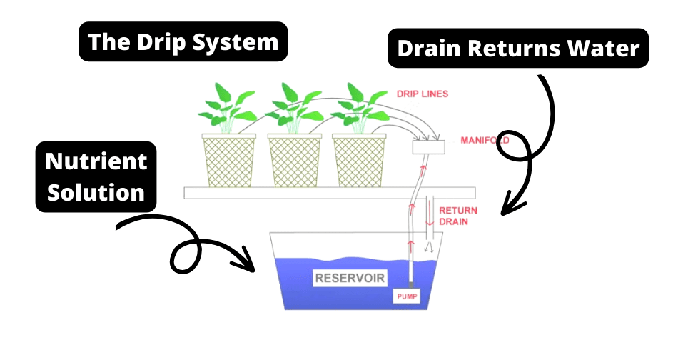 The Drip System