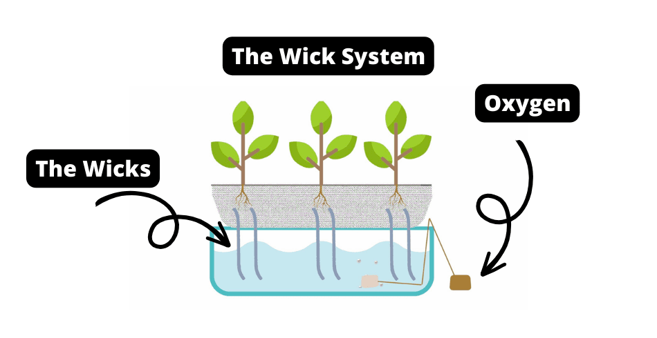The Wick System