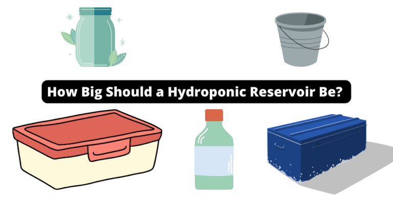 How Big Should a Hydroponic Reservoir Be?