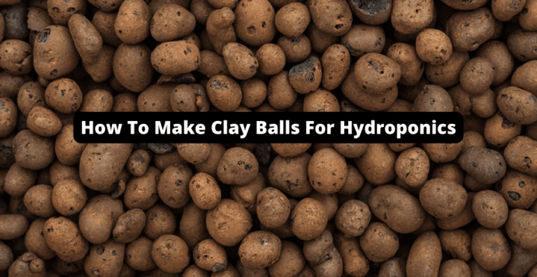 How To Make Clay Balls For Hydroponics