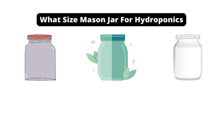 What Size Mason Jar For Hydroponics