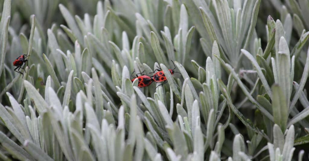 how-to-get-rid-of-little-bugs-on-plants-say-goodbye-to-pesky-pests